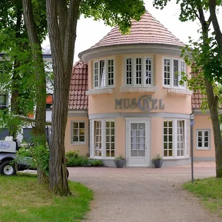 Muschel Whg Seepferdchen Apartment Boltenhagen
