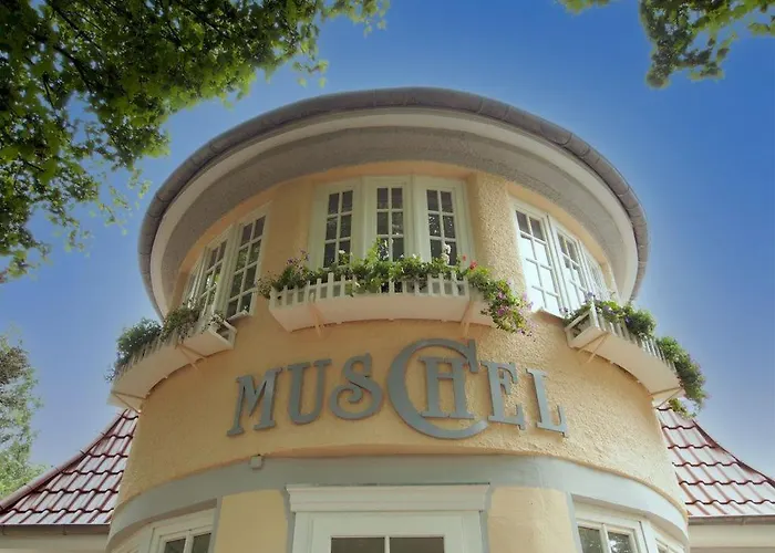 Muschel Whg Seepferdchen